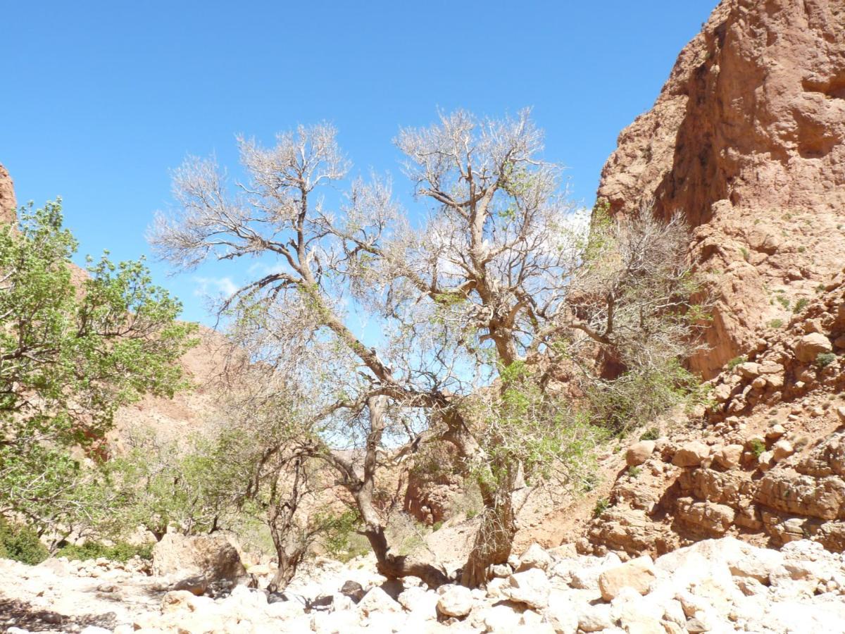 Les Jardins De Todgha Gorges De Todra Tinghir Hotel Ait Baha ภายนอก รูปภาพ