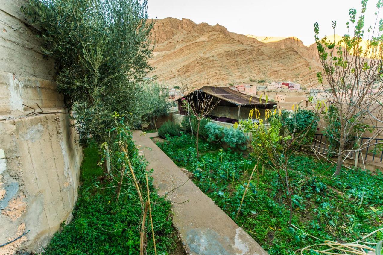 Les Jardins De Todgha Gorges De Todra Tinghir Hotel Ait Baha ภายนอก รูปภาพ