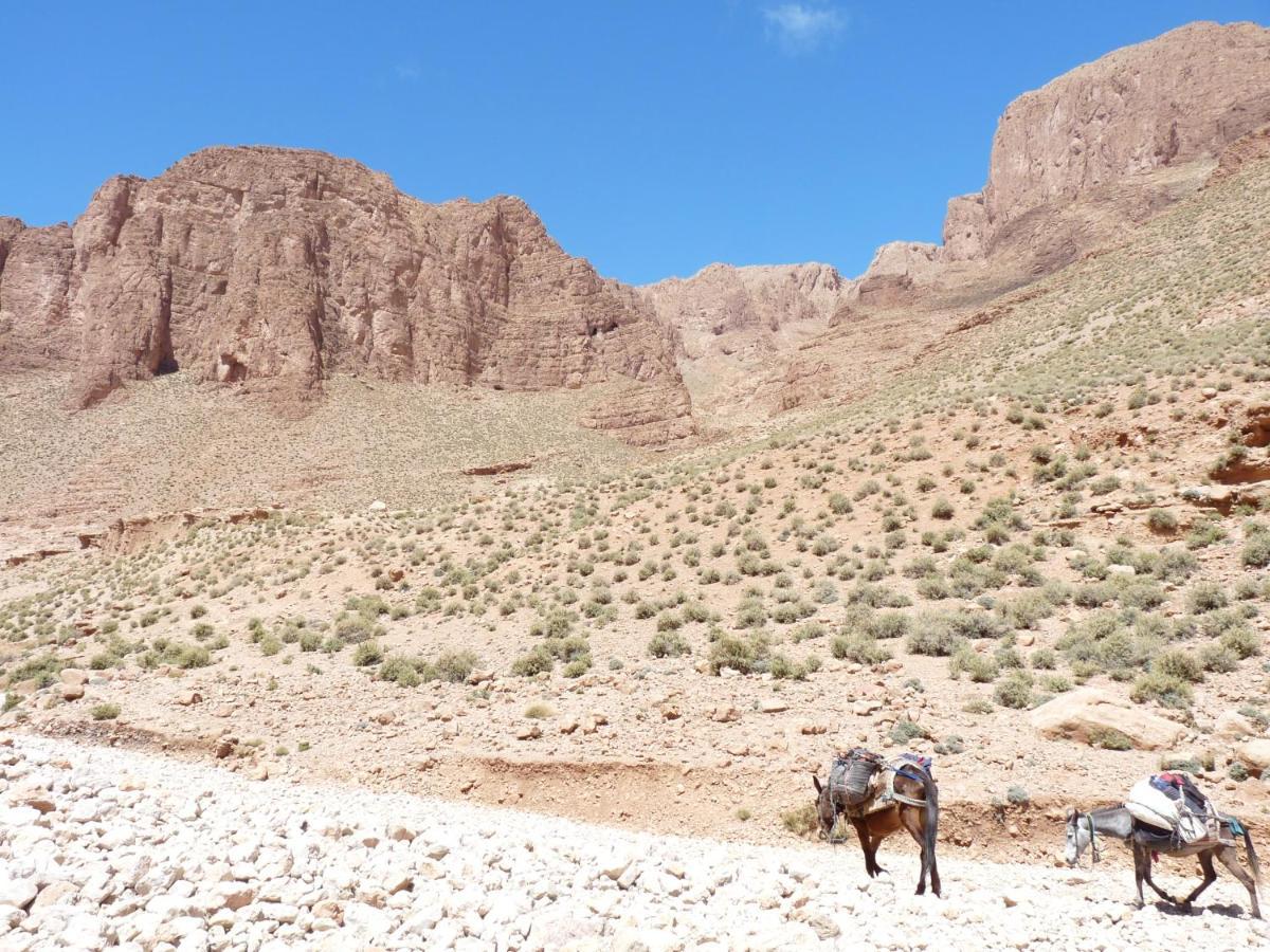 Les Jardins De Todgha Gorges De Todra Tinghir Hotel Ait Baha ภายนอก รูปภาพ